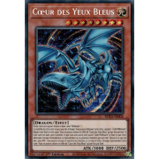 ROTA-FR004 Cœur des Yeux Bleus Secret Rare