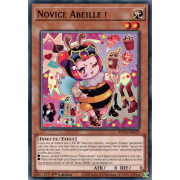 ROTA-FR029 Novice Abeille ! Commune