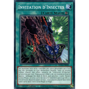 ROTA-FR083 Invitation d'Insectes Commune