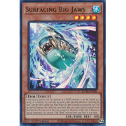 ROTA-EN001 Surfacing Big Jaws Ultra Rare