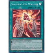 ROTA-EN065 Succumbing-Song Morganite Super Rare