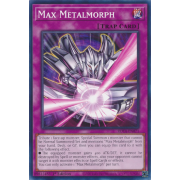 ROTA-EN071 Max Metalmorph Commune