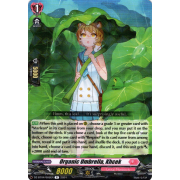 DZ-BT04/065EN Organic Umbrella, Khcek Rare (R)