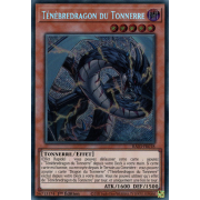 RA03-FR018 Ténèbredragon du Tonnerre Quarter Century Secret Rare