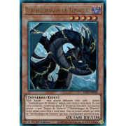 RA03-FR018 Ténèbredragon du Tonnerre Collectors Rare