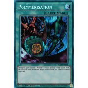 RA03-FR051 Polymérisation Collectors Rare