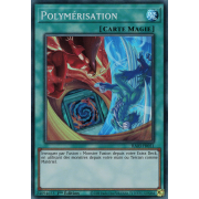 RA03-FR051B Polymérisation Super Rare