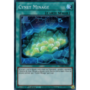 RA03-FR067 Cynet Minage Super Rare