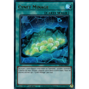 RA03-FR067 Cynet Minage Ultra Rare