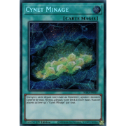 RA03-FR067 Cynet Minage Secret Rare