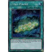 RA03-FR067 Cynet Minage Platinum Secret Rare