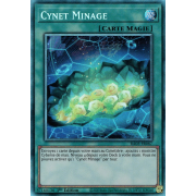 RA03-FR067 Cynet Minage Collectors Rare