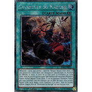 RA03-FR070 Ouverture du Marqué Platinum Secret Rare