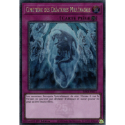 RA03-FR077 Cimetière des Créatures Millénaires Quarter Century Secret Rare