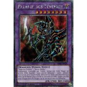 RA03-FR126 Paladin des Ténèbres Platinum Secret Rare