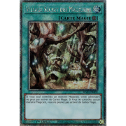 RA03-FR209 Village Secret des Magiciens Platinum Secret Rare