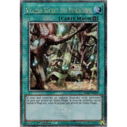 RA03-FR209 Village Secret des Magiciens Quarter Century Secret Rare