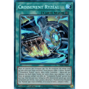 CRBR-FR009 Croisement Ryzéal Collectors Rare