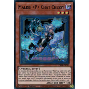 CRBR-FR016 Maliss Chat Chessy Super Rare